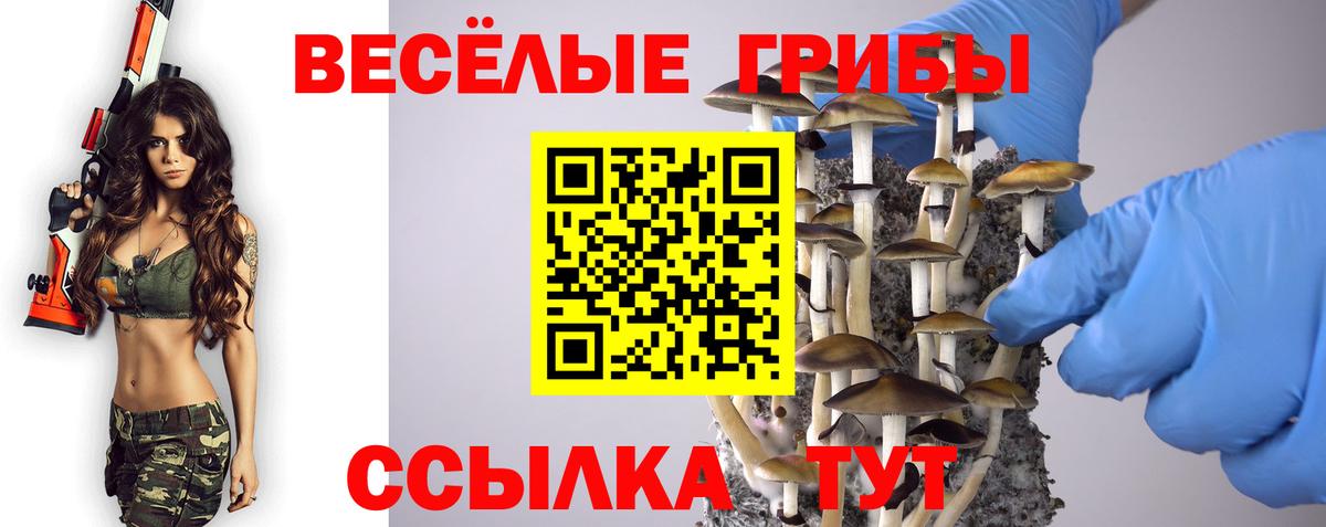 Нальчик  Псилоцибиновые грибы Psilocybe  Вход с VPN 